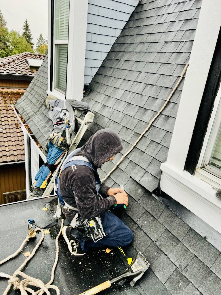 roof shingles