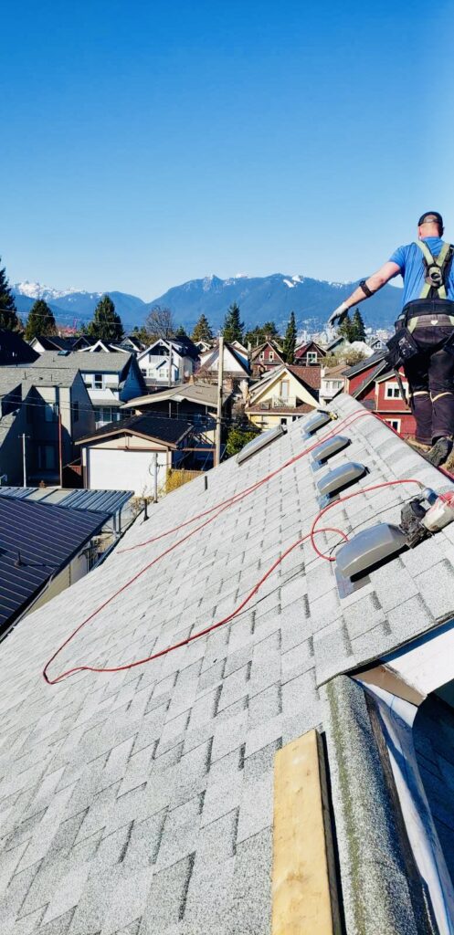 roof cleaning