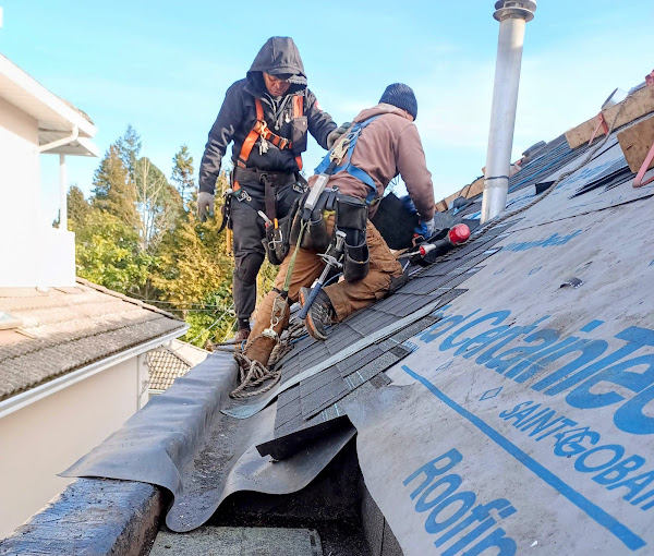 roof repair