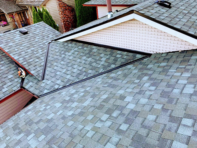 Shingle roofing