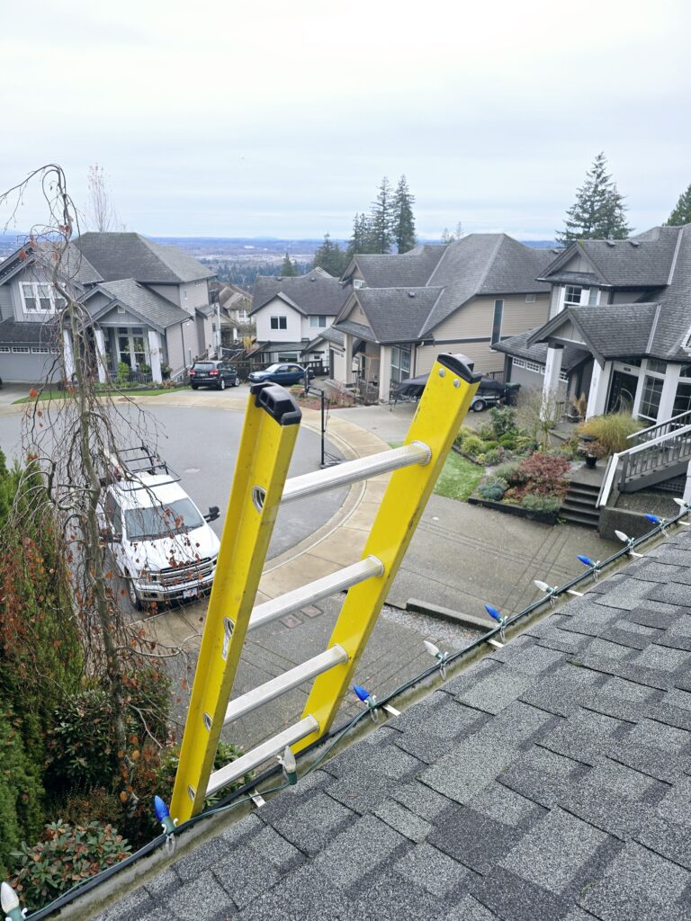 roof inspection