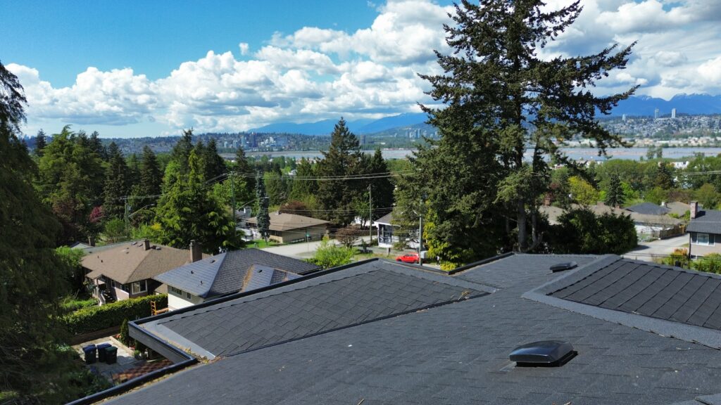 roof cleaning