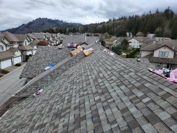 roof cleaning