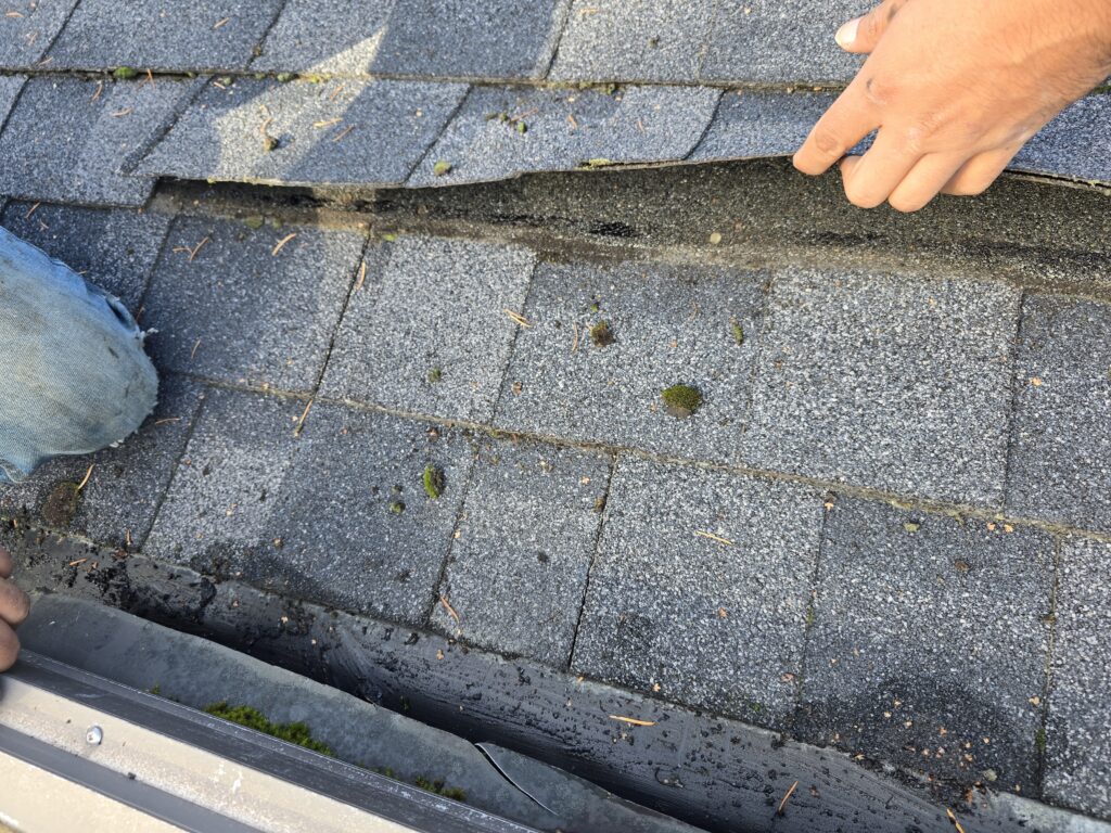roof shingles