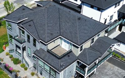  7 Alarming Ways Roof Damage Can Lead to Mold and Indoor Air Problems