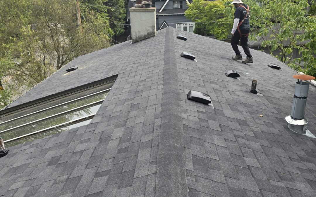 7 Major Disadvantages of Low Roof Pitch You Should Know