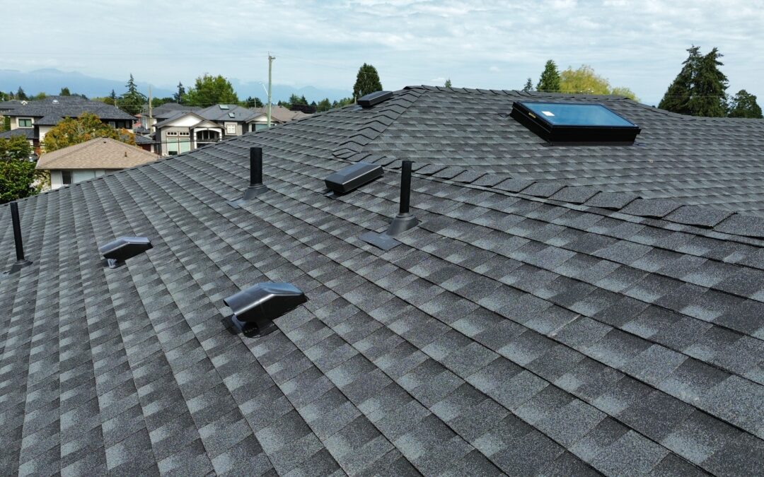 skylights on roof