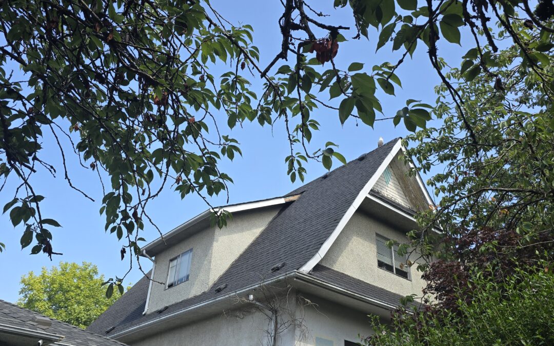 7 Important Signs It’s Time to Replace Roof Fascia and Soffit