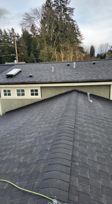 7 Alarming Reasons Why Your Shingle Roofing Might Start to Rot