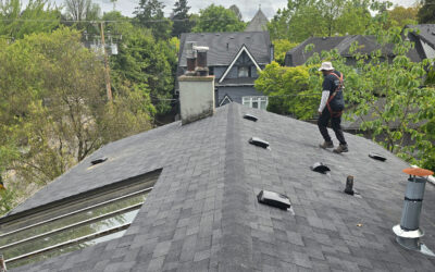 7 Critical Reasons a Roof Inspection Is More Than Just a Quick Visual Look