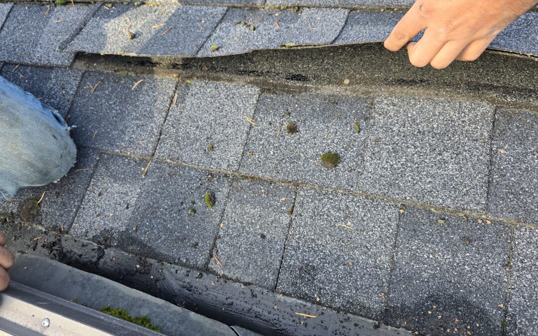 7 Important Steps to Fix Lifted Shingles on Your Shingle Roofing