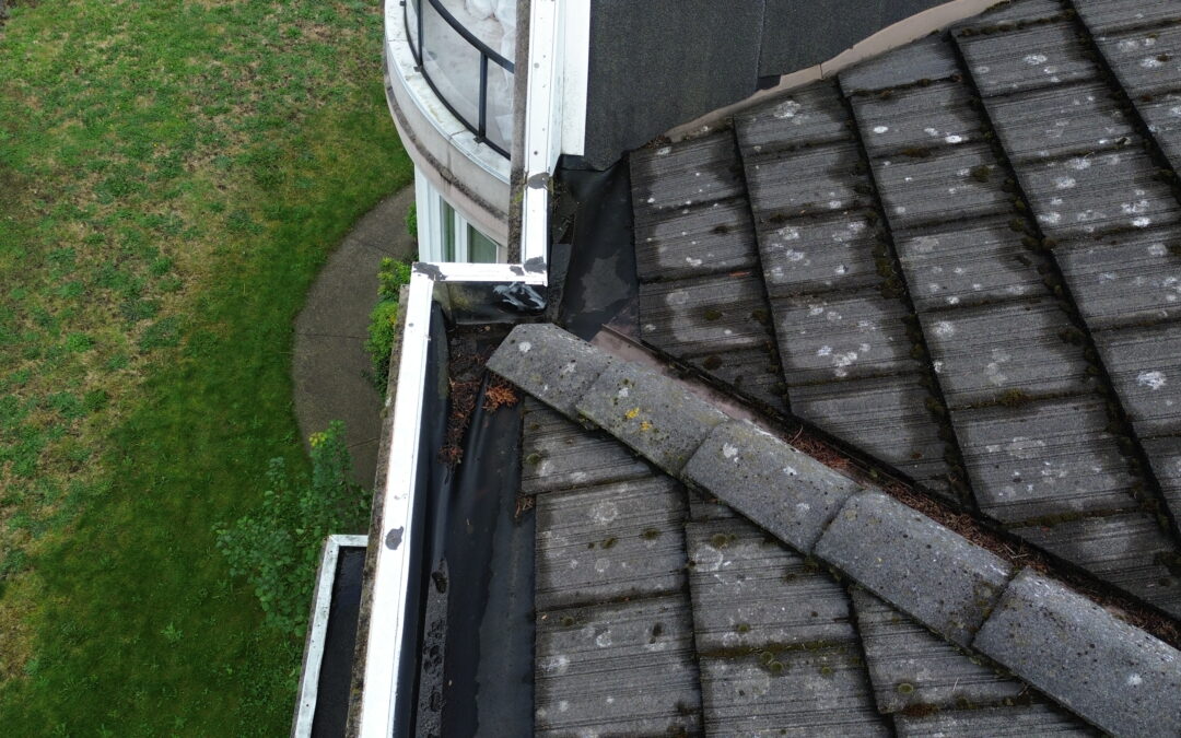 7 Clear Signs Your Roof Needs Hail Damage Fix and Roof Repairs